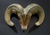 Goat Horns