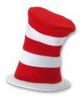 cat in the hat's hat