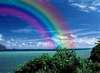 a rainbow, wherever you are..