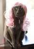 Pussy Wig - Pink