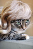 Pussy Wig - Blond
