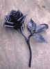A Black Rose
