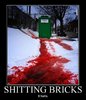 Shitting Bricks