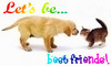 Let's be best friends!