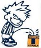 VAMOS RAYADOS