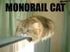 monorail lolcat