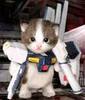 gundam cat