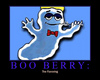 Boo Berry Flavour
