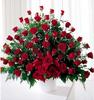 4 dozen roses for you