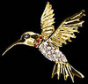 KingFisher in Gold