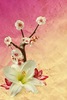 Have a wonderful day