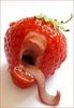 A Strawberry That Eats You!