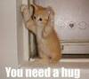 *Hug Hug Hug~~~*