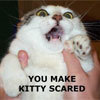 ★You Make Kitty Scared★