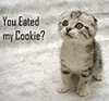 u~eated~my~cooki e?