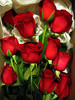 **red.roses**