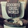 Goodbye, Cruel World!