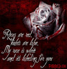 bloody rose
