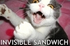 an Invisible Sandwich