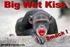 big wet monkey kiss