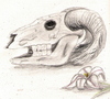 a skull w/ a flower. Ta-DA!! :P