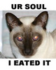 I ate ur soul