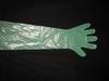 Arm-length plastic gloves