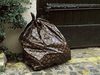 Louis Vuitton Trash Bag!