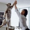 A High Five!!