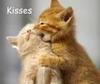 **Kisses**