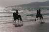 HoRsE rIdE fOr 2 On ThE bEaCh
