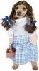 Dorothy Costume