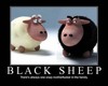 da black sheep