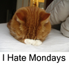 I hate Mondays..