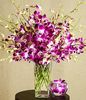 Purple Orchid Bouquet