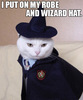 My robe and wizard hat