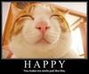 happy kitty