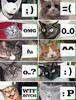 kitty faces