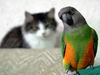 A Special Friendship!