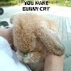 you make bunny cry