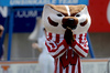 Bucky Badger