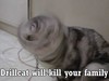 Drill Cat Attack!!!
