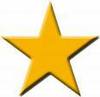 a gold star 