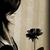 -Miyana Meow Meow-