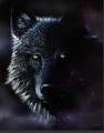 Dark Wolf